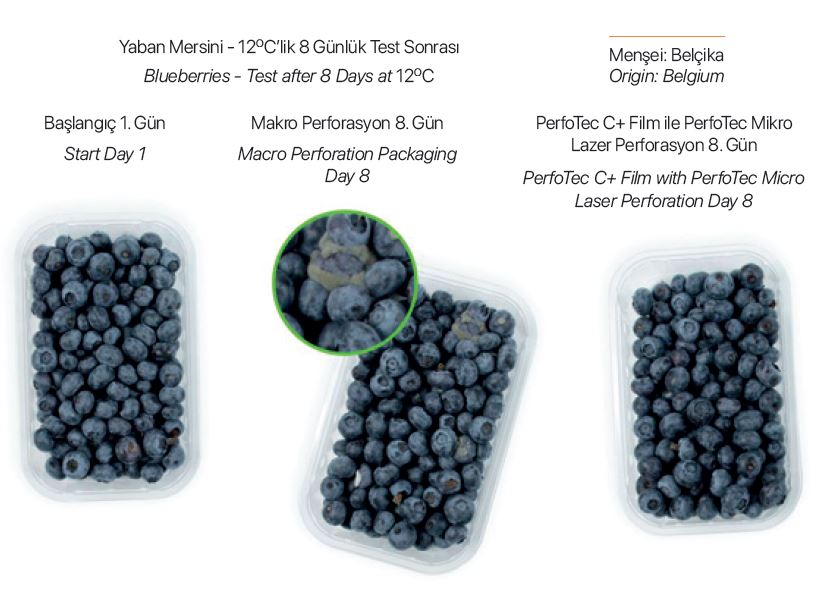 TIPA ve PERFOTEC, Raf Ömrünü Uzatan Kompostlanabilir Paketler Oluşturmak İçin İşbirliği Yapıyor