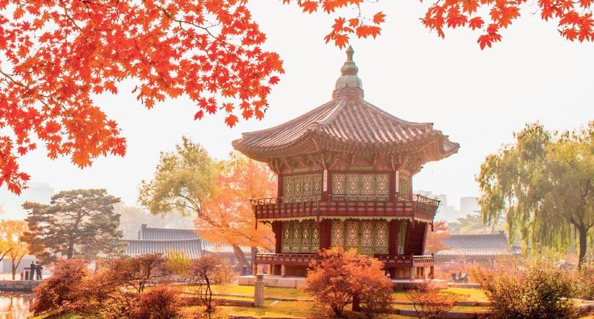 5 FARKLI ROTA İLE ‘GÜNEY KORE TURU’