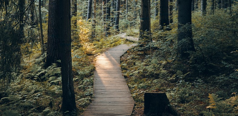 İstanbul’da Sonbahar: Doğayla İç İçe 4 Rota