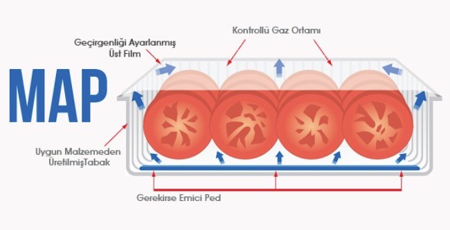 Gıda Ürünlerinde MAP ve IQF Teknolojisi
